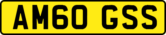 AM60GSS