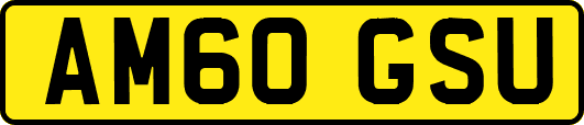 AM60GSU