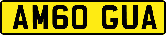 AM60GUA