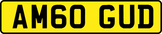 AM60GUD