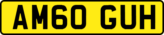 AM60GUH