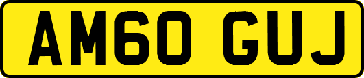 AM60GUJ