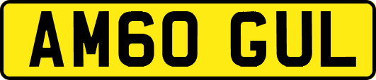 AM60GUL