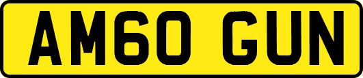 AM60GUN