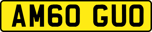 AM60GUO