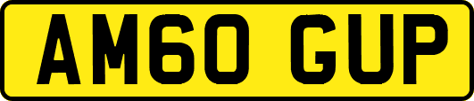 AM60GUP