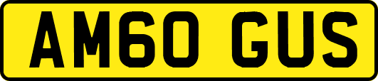 AM60GUS