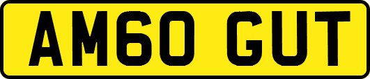 AM60GUT