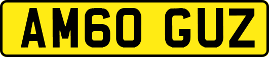 AM60GUZ