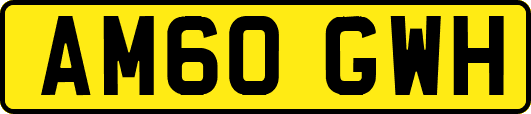 AM60GWH