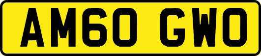 AM60GWO