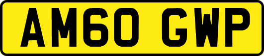 AM60GWP