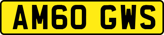 AM60GWS