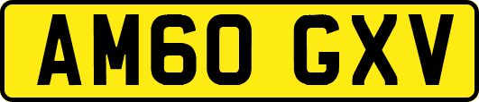 AM60GXV
