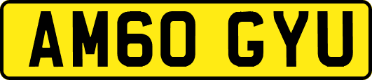 AM60GYU