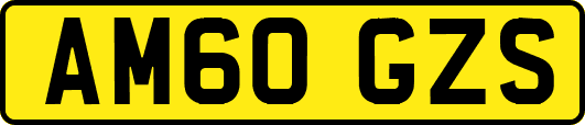 AM60GZS