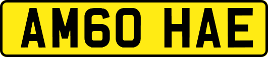 AM60HAE