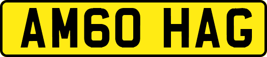 AM60HAG