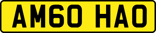 AM60HAO