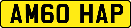 AM60HAP