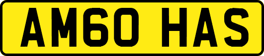 AM60HAS