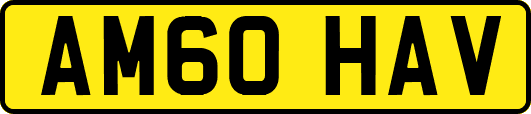 AM60HAV