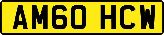 AM60HCW