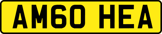 AM60HEA