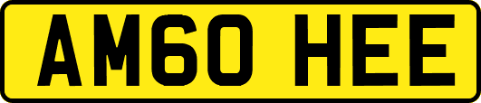 AM60HEE