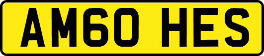 AM60HES