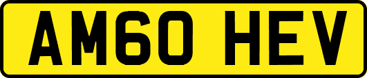 AM60HEV