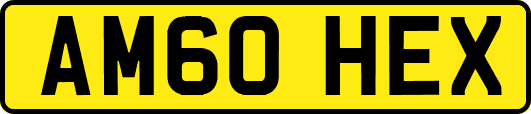 AM60HEX