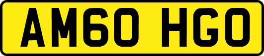 AM60HGO