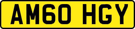 AM60HGY
