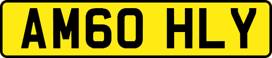 AM60HLY