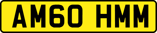 AM60HMM
