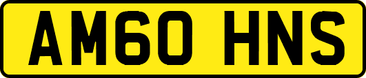 AM60HNS
