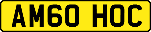 AM60HOC