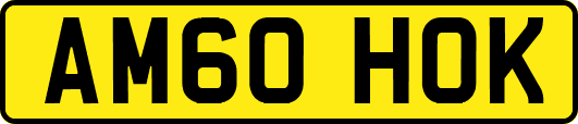 AM60HOK