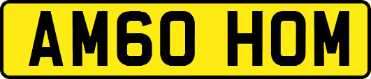 AM60HOM