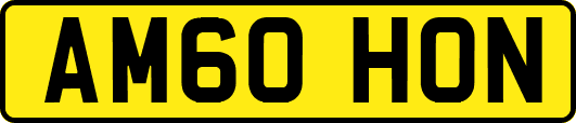 AM60HON