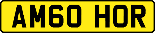 AM60HOR