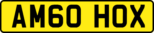 AM60HOX