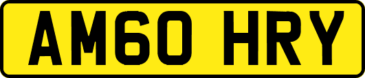AM60HRY