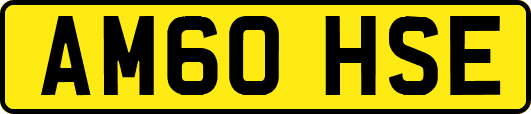 AM60HSE