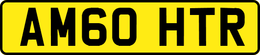 AM60HTR