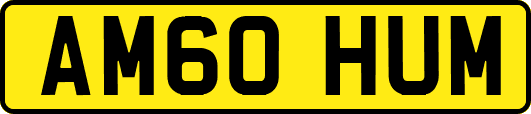 AM60HUM