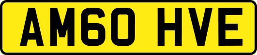 AM60HVE