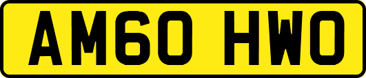 AM60HWO