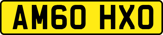 AM60HXO